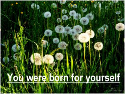 Narodili jste se pro sebe